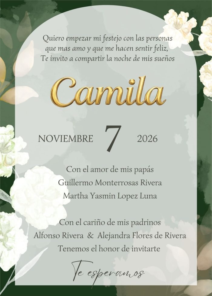 invi cam 001 ea