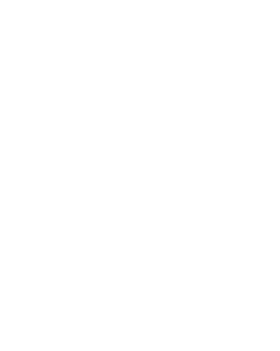 logo boda noe liz 3